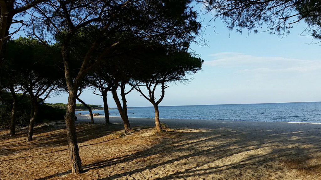 Strand von Agrustos